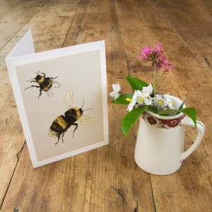 Bumblebee Card - Ben Rothery Illustrator