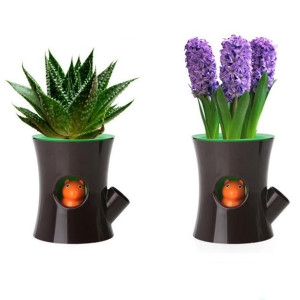 New-arrive-Original-Qualy-Log-and-Squirrel-Self-Watering-Flower-Pot-Squirrel-animal-Plant-Pot-1pcs