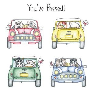 you've-passed-mini small